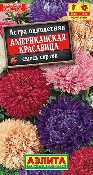 Астра Американская красавица однолетняя смесь густомахровая 0,3гр Гавриш
