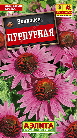Эхинацея Знахарь пурпурная 0,3 гр /10