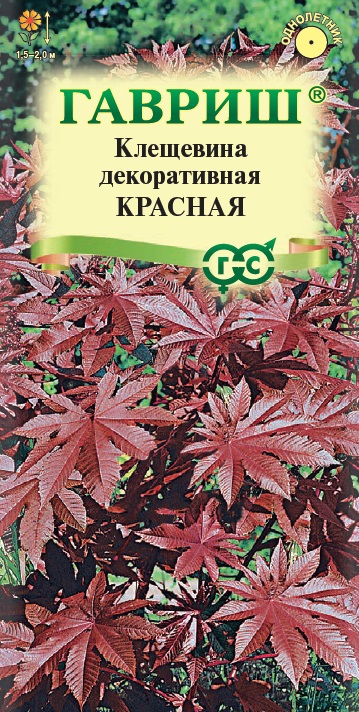 Клещевина красная 5шт  /10