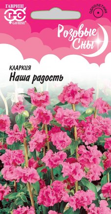 Кларкия ноготковая Наша радость розовые сны
