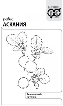 Редис Аскания 2гр Сибирский Сад