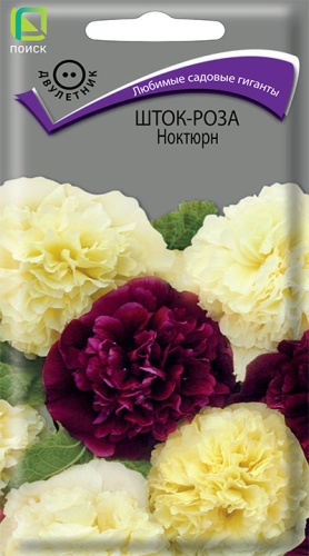 Шток-роза ноктюрн  Аэлита цв