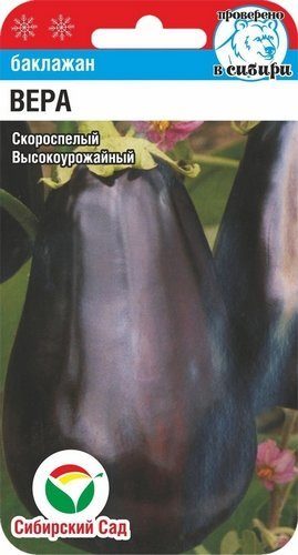 Баклажан Вера Аэлита бел