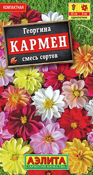 Георгина Кармен смесь, 10 шт.