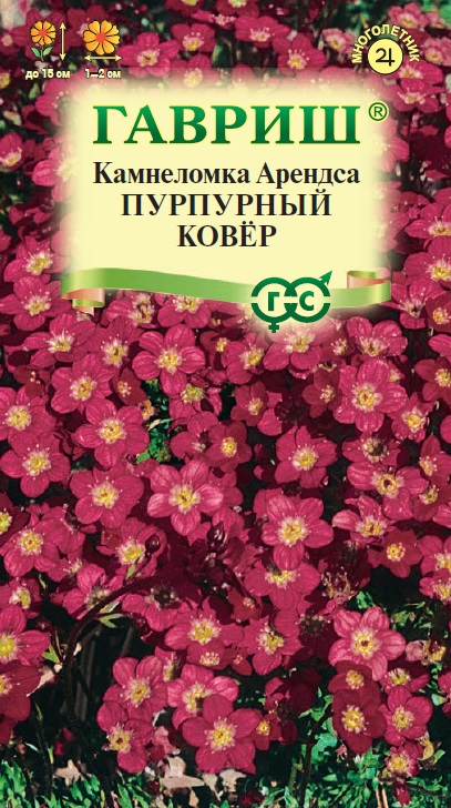 Камнеломка Арендса Пурпурный ковер 0,01гр ПЦц