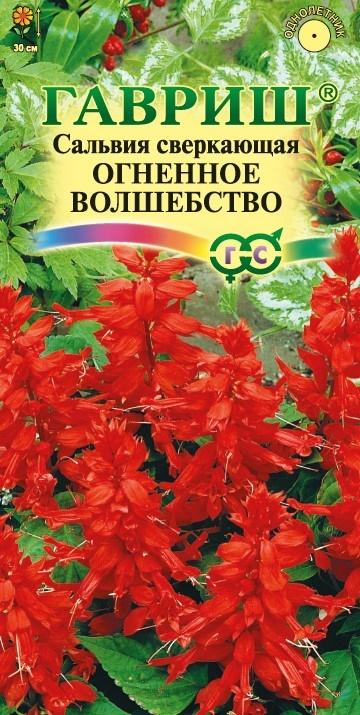 Сальвия Огненное волшебство 0,1гр ГШцветы