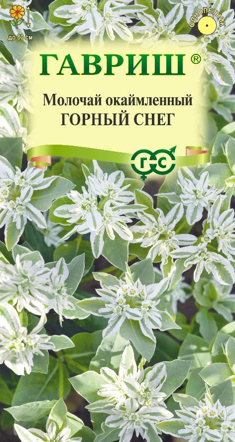 Молочай Горный снег окаймленный 20шт Престиж СВ В