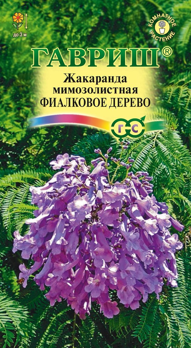 Жакаранда Фиалковое дерево 3шт ГШцветы
