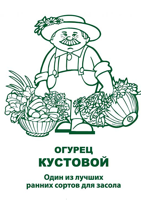 Огурец Кустовой/Удачные семена 0,5гр