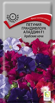 Петуния Аладдин Арабские ночи F1 грандифлора 10шт ПЦц