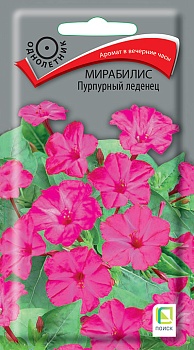Мирабилис Пурпурный леденец 1гр ПЦц