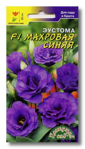 Эустома Махровая синяя F1