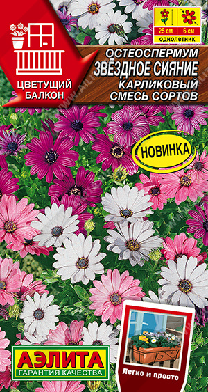 Остеоспермум Звездное сияние 10шт
