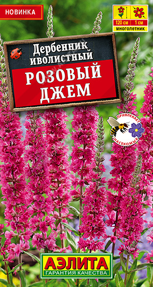 Дербенник иволистый Розовый джем