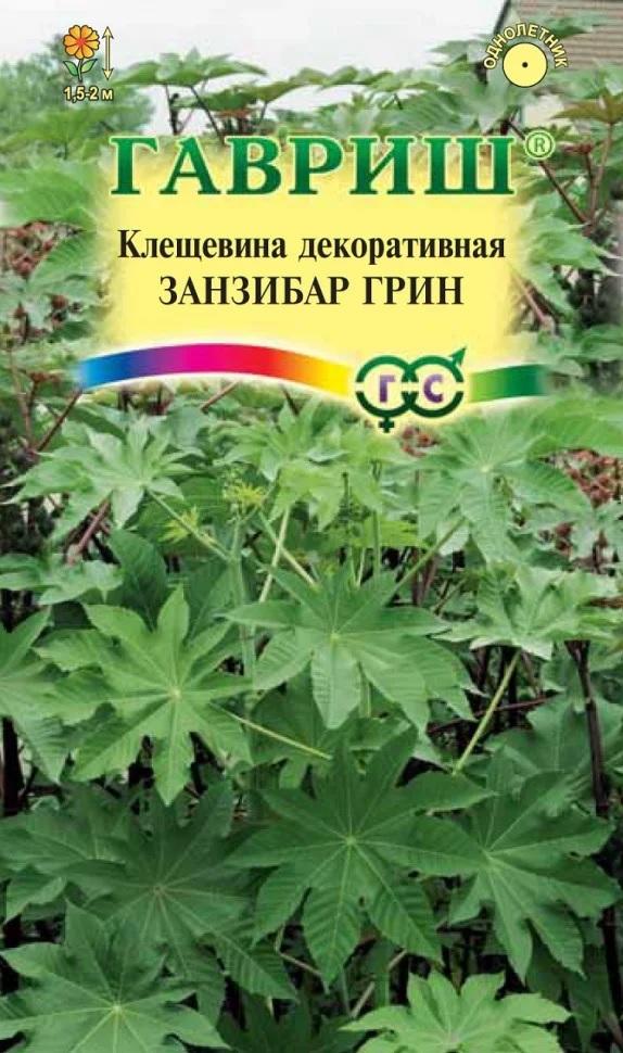 Клещевина Занзибар Грин 5шт ГШцветы
