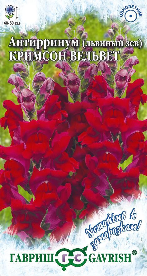 Антирринум Кримсон вельвет (Львиный зев) 0,05г