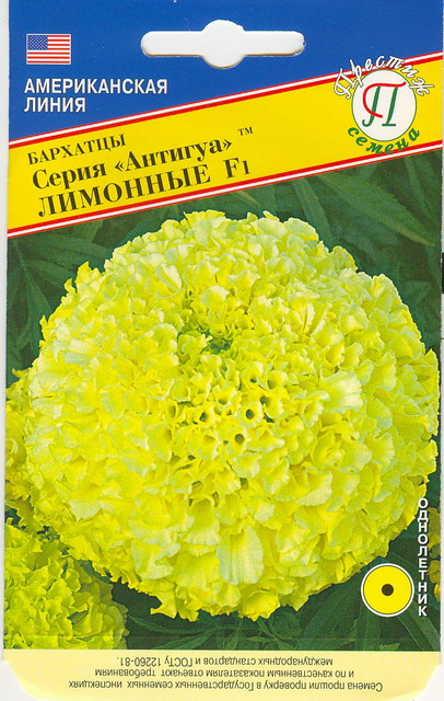 Бархатцы Антигуа Лимонная прям. 5шт