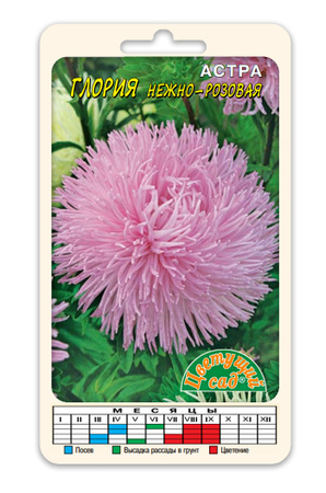 Астра Глория Нежно-розоая 0,2г