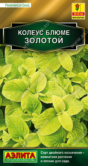 Колеус Золотой блюме 5шт Аэлита