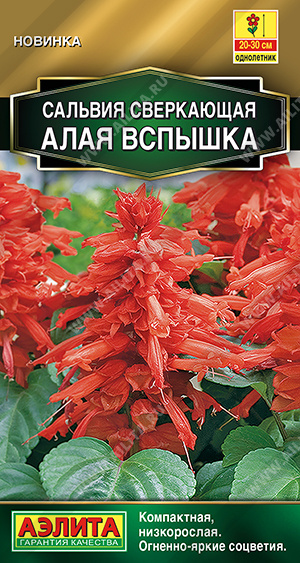 Сальвия Алая вспышка 15шт Аэлита