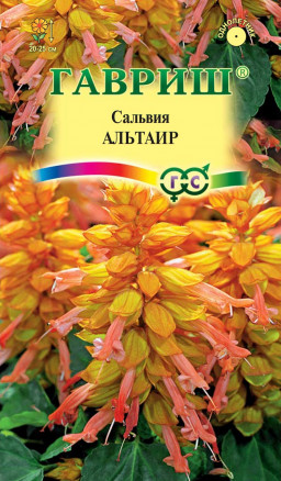 Сальвия Альтаир 4шт Гавриш