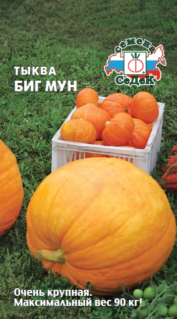 Тыква Биг мун 2гр СеДеК