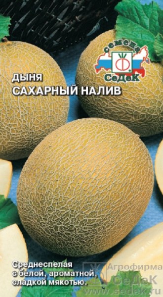 Дыня Сахарный налив F1 0,5гр СеДеК