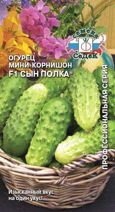 Огурец Сын Полка F1 15шт/0,2-0,3гр/10, СеДеК АА