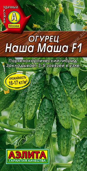 Огурец Наша Маша 10шт СеДеК