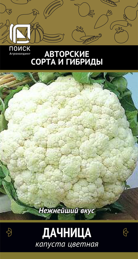 Капуста цветная Дачница, Аэлита бел