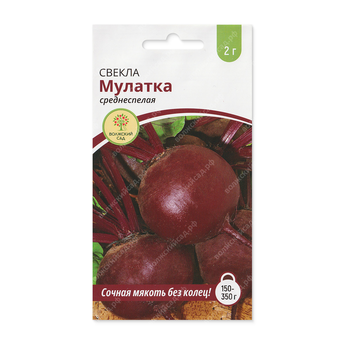 Свекла Мулатка 2гр/20, Аэлита Бел