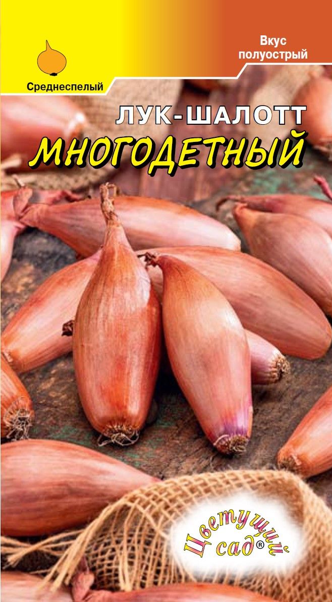 Лук шалот Многодетный 01,гр