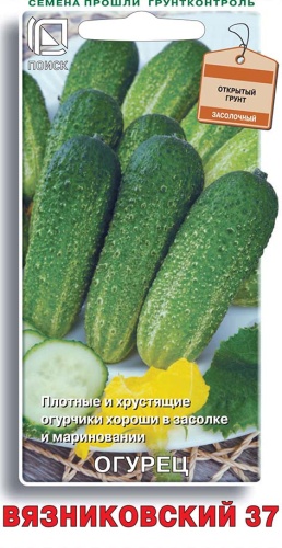 Огурец Вязниковский 37 15шт
