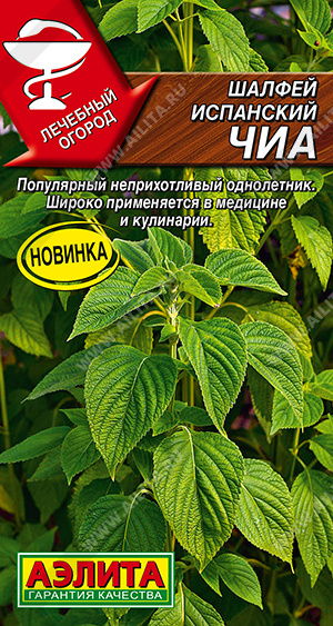Шалфей испанский чиа Аэлита