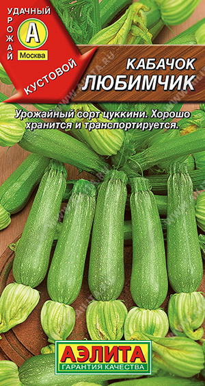Кабачок Любимчик кустовой цуккини