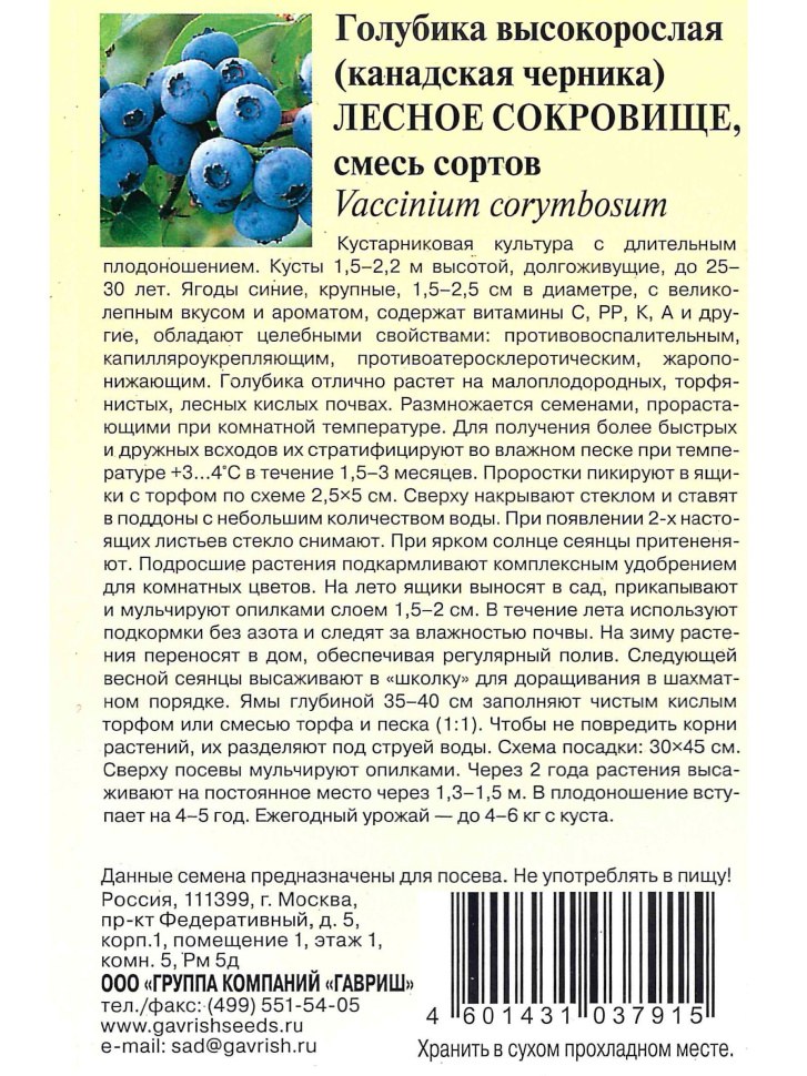 Голубика высокорослая Лесное сокровище 30шт/20