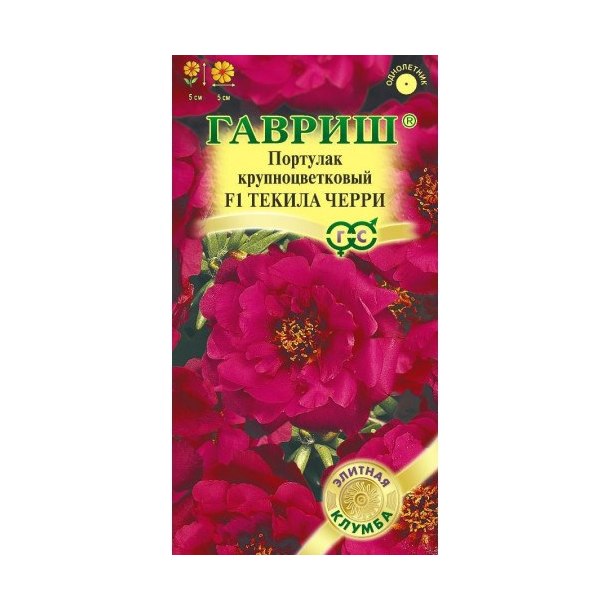 Портулак Текила Черри 5шт