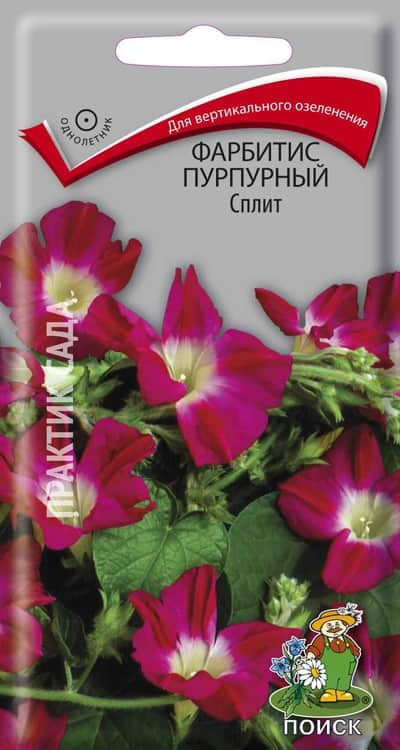 Фарбитис пурпурный Сплит 0,1гр ПЦц