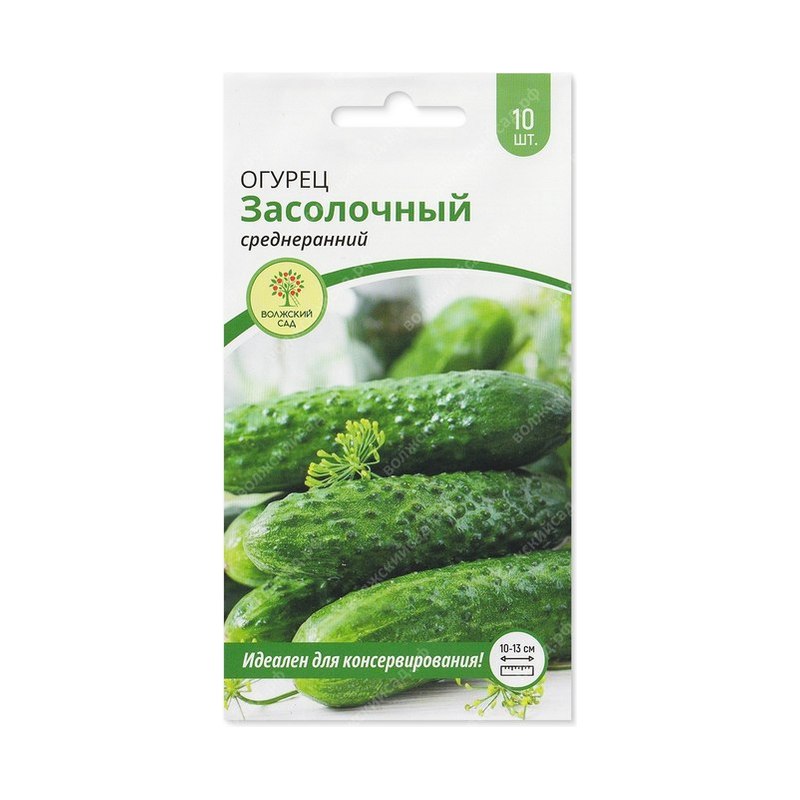 Огурец Засолочный 10шт Аэлита Лидер