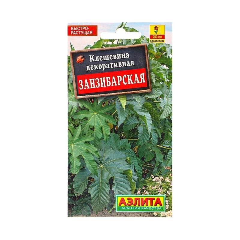 Клещевина Занзибарская 5шт 10