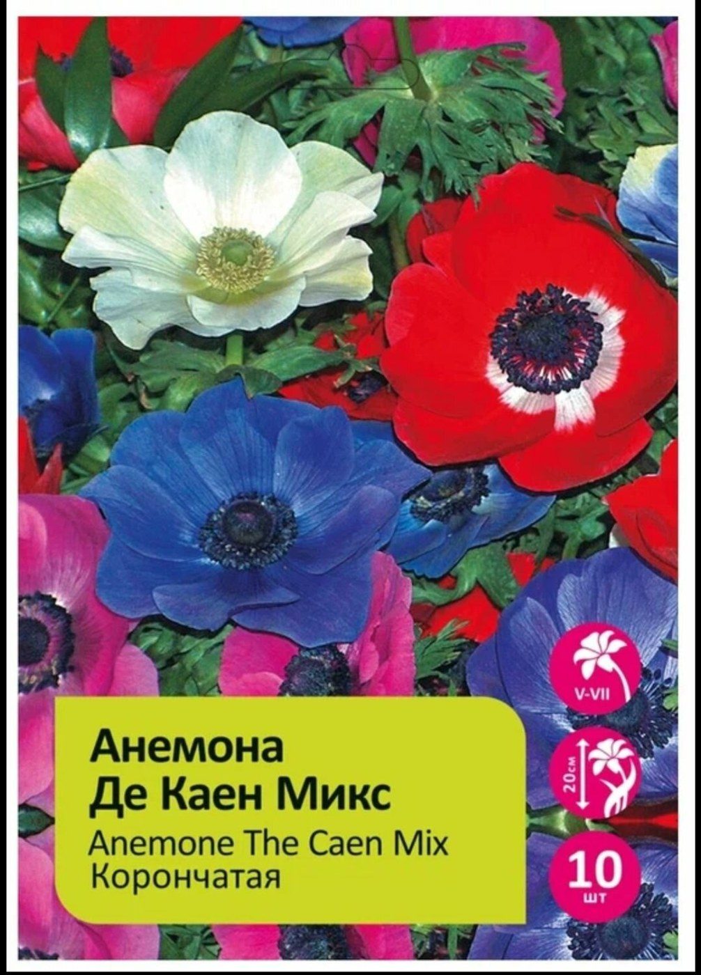 Анемона/Ветренница Де Каен микс корончатая 10шт
