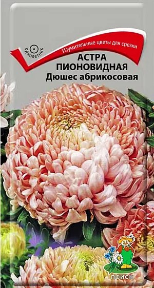 Астра Дюшес абрикосовая 0,3 г. Ц Поиск