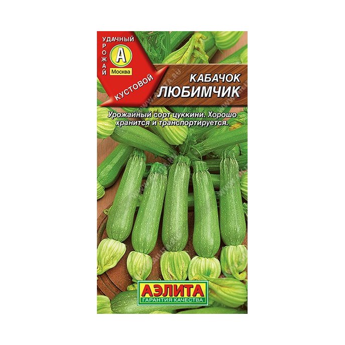 Кабачок Любимчик кустовой цуккини