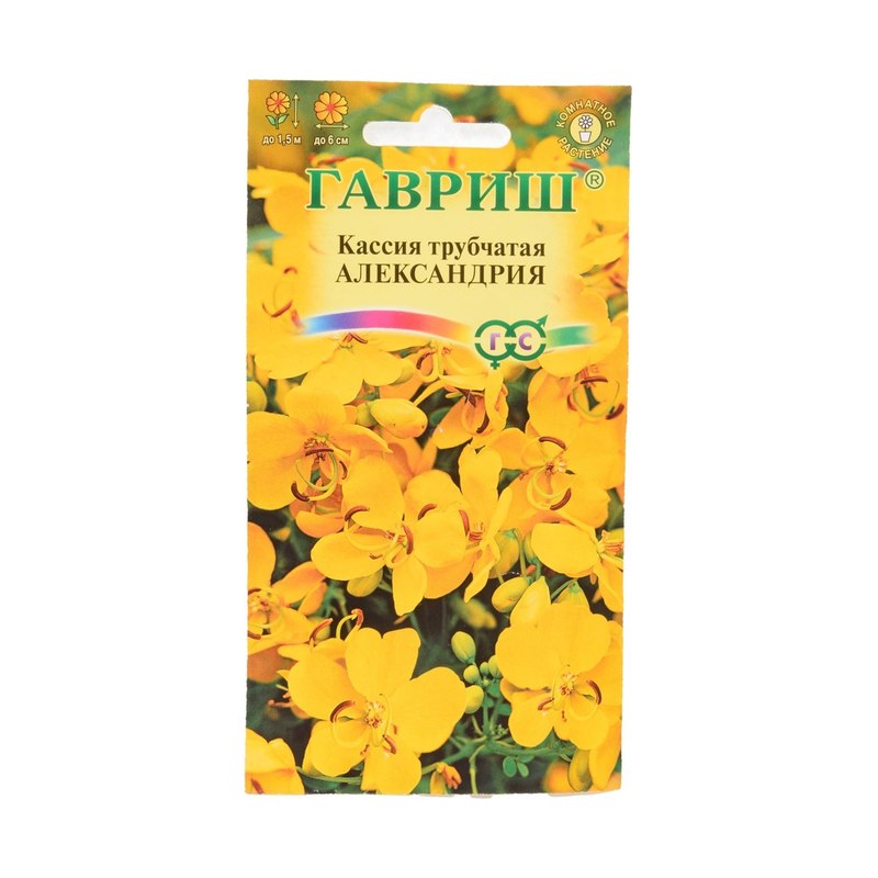 Кассия трубчатая Александрия (3шт)
