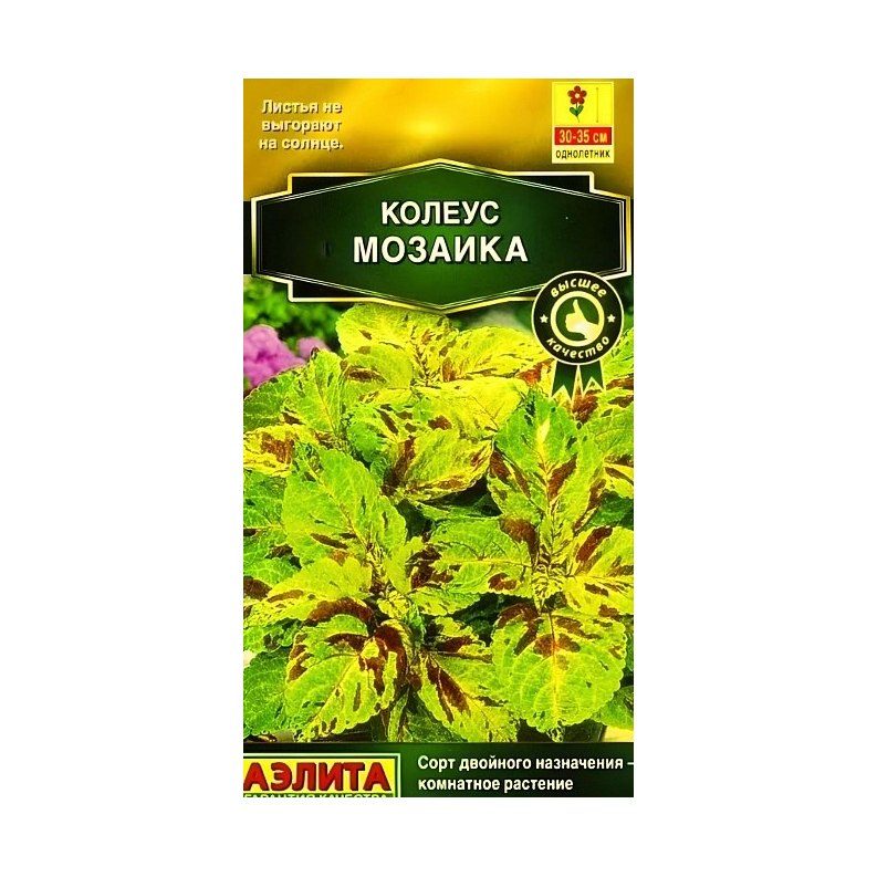 Колеус Мозаика Блюме 5шт Аэлита