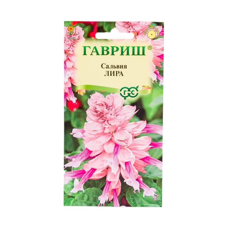 Сальвия Лира 4шт Гавриш