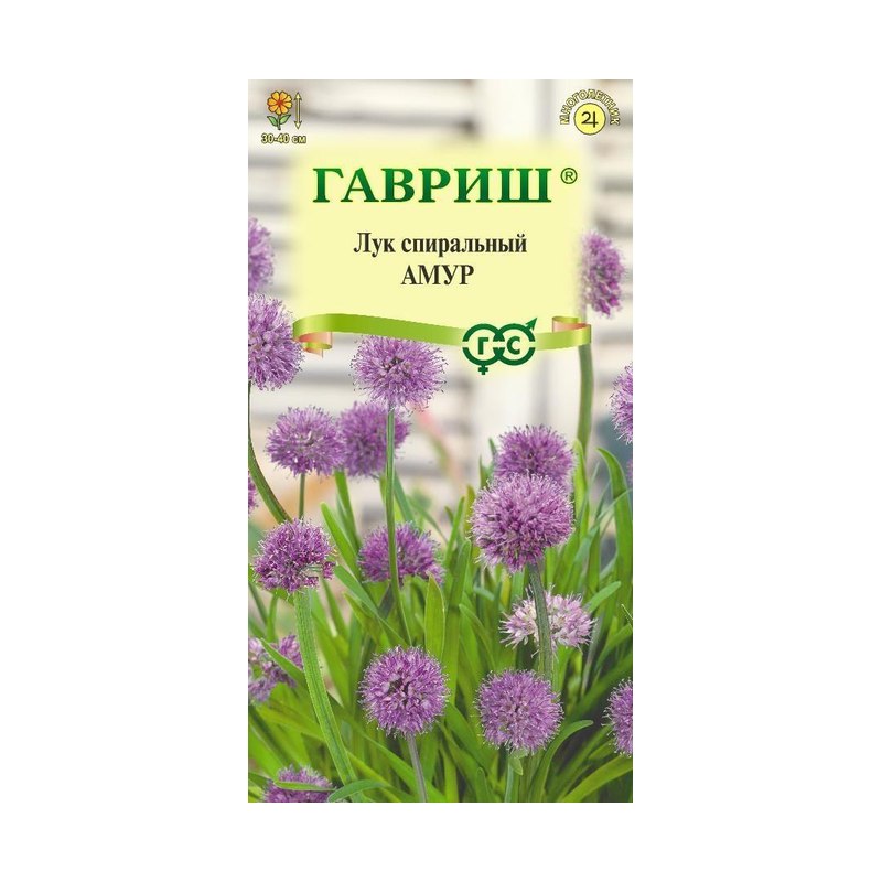 Лук спиральный декоративный Амур