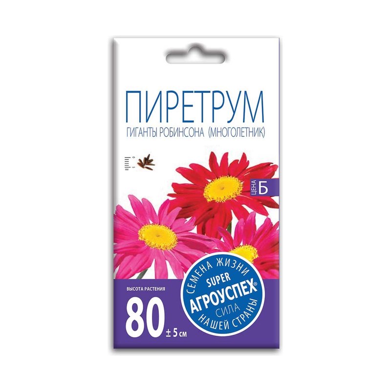 Пиретртум гиганты робинсона