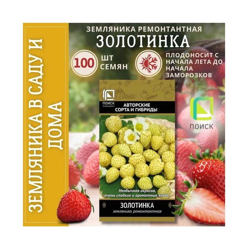 Семена земляники Золотинка ремонтантная (100шт)