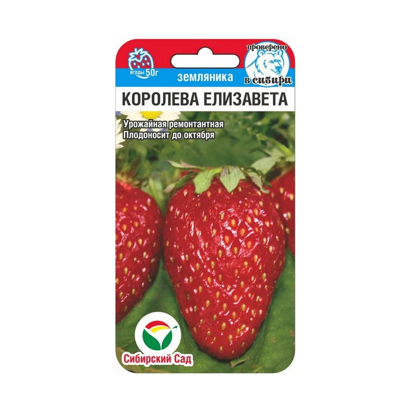 Семена земляники Королева Елизавета (10шт)